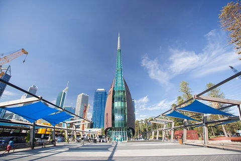 Perth Scavenger Hunt: Perched On A Swan - Sunshine Coast Tourism 3