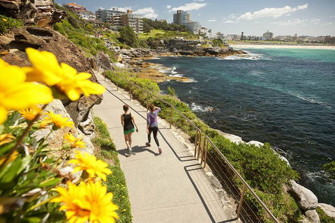 Sydney Uncovered Full-Day Tour - Sunshine Coast Tourism 1