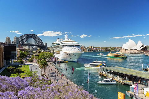 Sydney Uncovered Full-Day Tour - Sunshine Coast Tourism 3