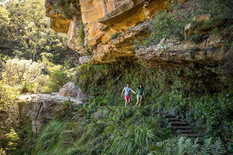 Private Guided: Blue Mountains Hiking & Nature Tour - Sunshine Coast Tourism 2