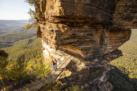 Private Guided: Blue Mountains Hiking & Nature Tour - Sunshine Coast Tourism 4