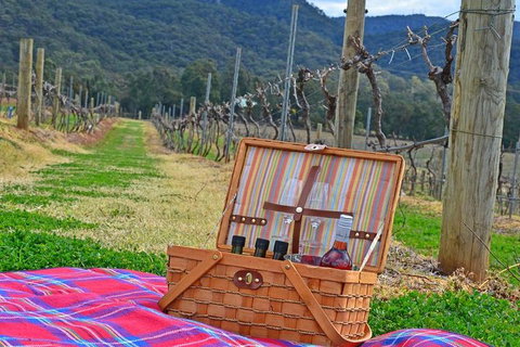 Private Hunter Valley And Gardens Day Trip From Sydney - Sunshine Coast Tourism 2