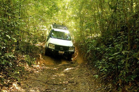 Barron Gorge And Kuranda National Park Half Day Rainforest And Waterfall 4WD Tour From Cairns - Holiday Sunshine Coast 2