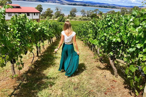 Tamar Valley Wine Tour With Lunch - Sunshine Coast Tourism 2