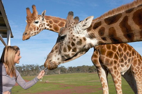 Melbourne City Card (2 Days): Visit Unlimited Attractions! - Sunshine Coast Tourism 1