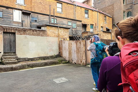 Smartphone & Camera Photography Basics - Sunshine Coast Tourism 2