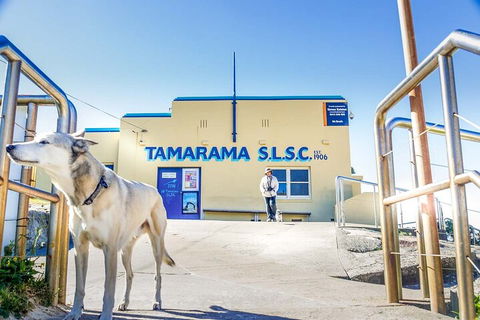 Smartphone & Camera Photography Basics - Sunshine Coast Tourism 5