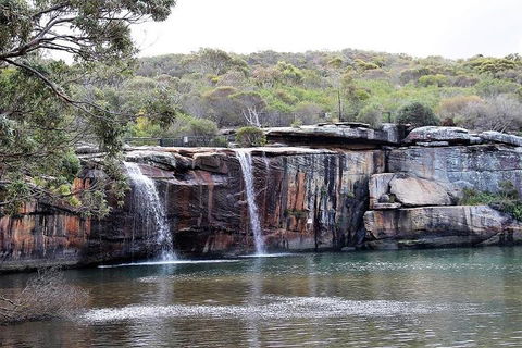 Royal National Park Tour - Sunshine Coast Tourism 1