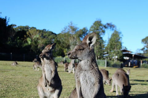 Royal National Park Tour - Sunshine Coast Tourism 2