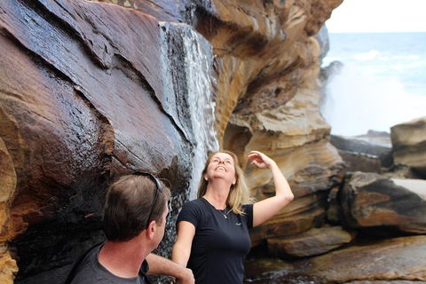 Royal National Park Tour - Sunshine Coast Tourism 4