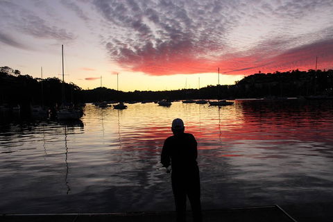 Sydney Harbour, Northern Beaches And National Park - Sunshine Coast Tourism 1