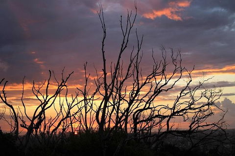 Sydney Harbour, Northern Beaches And National Park - Sunshine Coast Tourism 4