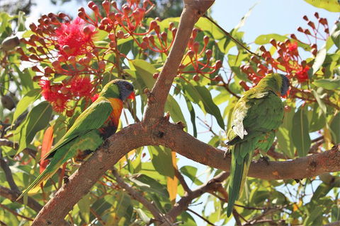 Sydney Harbour, Northern Beaches And National Park - Sunshine Coast Tourism 5