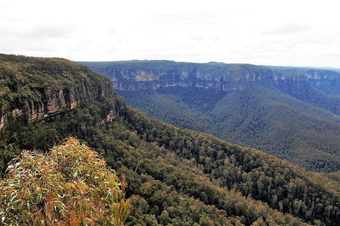 Blue Mountains - Sunshine Coast Tourism 3