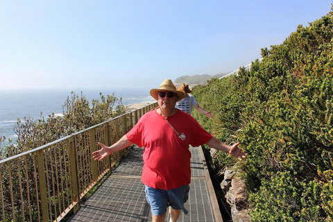 Bondi Beach And Beyond - Sunshine Coast Tourism 4