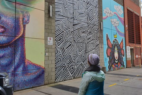 Jimmy C Street Art Walking Tour - Holiday Sunshine Coast 2