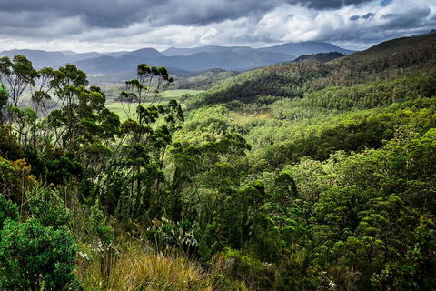 3-Day Tour To The Falls, Mountains, Lake & More Of West Coast Tasmania - Holiday Sunshine Coast 0