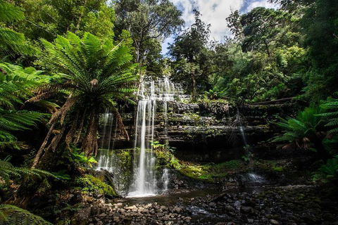 3-Day Tour To The Falls, Mountains, Lake & More Of West Coast Tasmania - Holiday Sunshine Coast 4