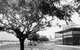 Cairns History Walking Tour - thumb 2
