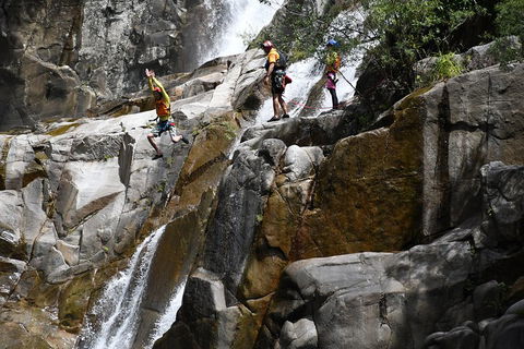 Behana Canyon Rainforest And Waterfall Experience - Sunshine Coast Tourism 2