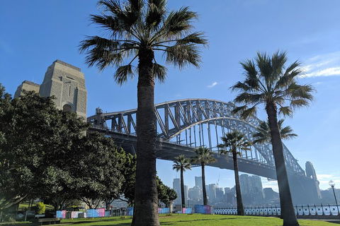 Sydney Secrets & Bondi Beach Private 4 Hr Morning With Personalised Sydney Tours - Sunshine Coast Tourism 5