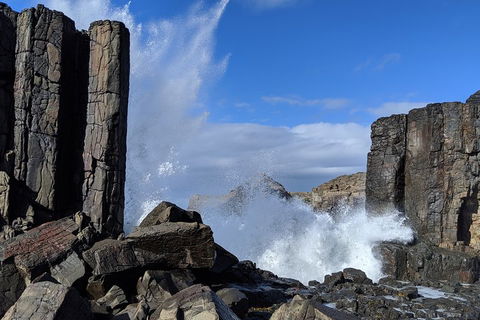 Erupting Blowholes And Ancient Rainforests With 'Personalised Sydney Tours' - Holiday Sunshine Coast 0