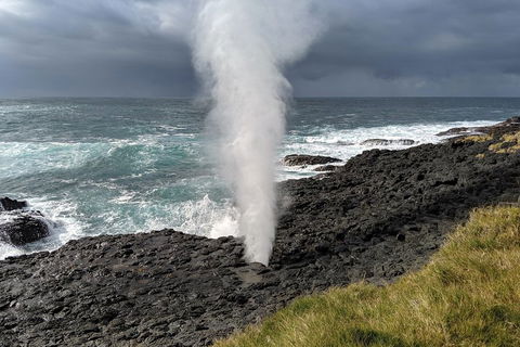 Erupting Blowholes And Ancient Rainforests With 'Personalised Sydney Tours' - Holiday Sunshine Coast 1