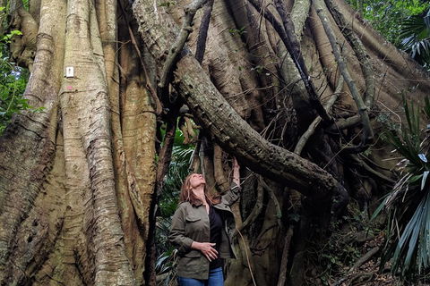 Erupting Blowholes And Ancient Rainforests With 'Personalised Sydney Tours' - Holiday Sunshine Coast 4