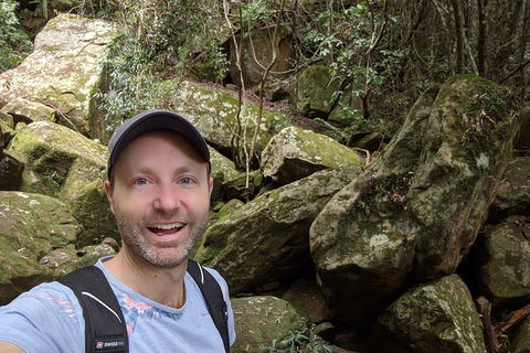 Australian Wildlife & Waterfalls Private Tour With 'Personalised Sydney Tours' - Sunshine Coast Tourism 4