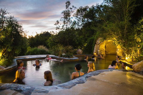 Peninsula Hot Springs & Wine Tasting - Day Tour - Sunshine Coast Tourism 3