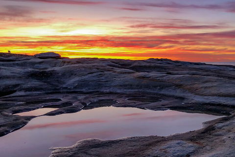 Phone Photography Workshop - Explore Coogee Beach - Sunshine Coast Tourism 3