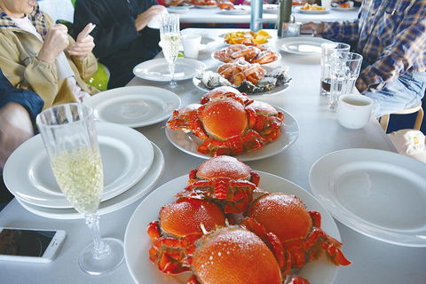 Gold Coast City Sights Tour From Brisbane - Holiday Sunshine Coast 5
