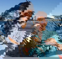 Gold Coast City Sights Tour from Gold Coast - Holiday Sunshine Coast