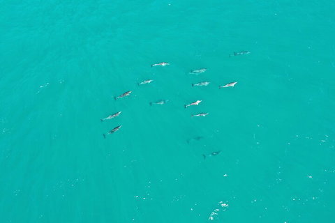 Port Macquarie Express VIP Private Flight - 15 Min - Sunshine Coast Tourism 3