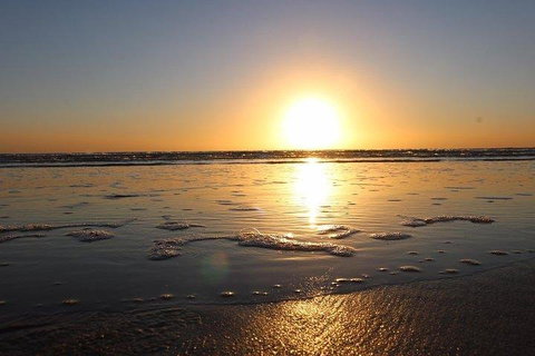 Port Macquarie Express VIP Private Flight - 15 Min - Sunshine Coast Tourism 5