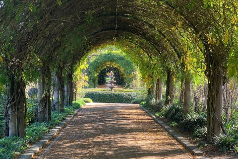 LGBT+ Friendly Full Day Yarra Valley & Dandenong Ranges Private Tour - Sunshine Coast Tourism 5