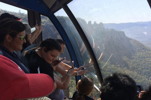 Blue Mountains PRIVATE - Full Day Tour - 6 People Max - Sunshine Coast Tourism 2