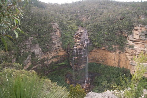 Blue Mountains PRIVATE - Full Day Tour - 6 People Max - Sunshine Coast Tourism 5