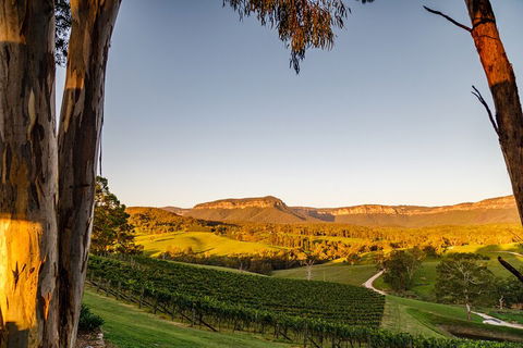 Taste Of The Blue Mountains - Lunch & Wine Tasting, Beer, Cider & Gin Tasting - Sunshine Coast Tourism 1