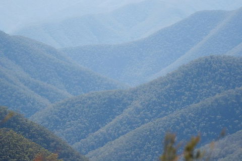 From The Mountains To The Bay - 4 Day Rediscovery Private Tour - Holiday Sunshine Coast 1