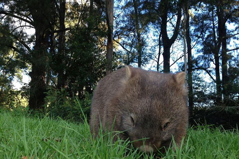 From The Mountains To The Bay - 4 Day Rediscovery Private Tour - Holiday Sunshine Coast 5