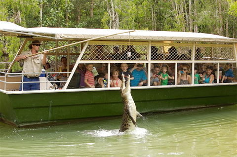 Hartley's Crocodile Adventure Half-Day Tour - Holiday Sunshine Coast 0