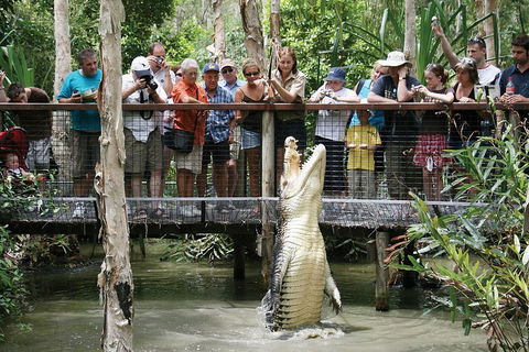 Hartley's Crocodile Adventure Half-Day Tour - Holiday Sunshine Coast 1