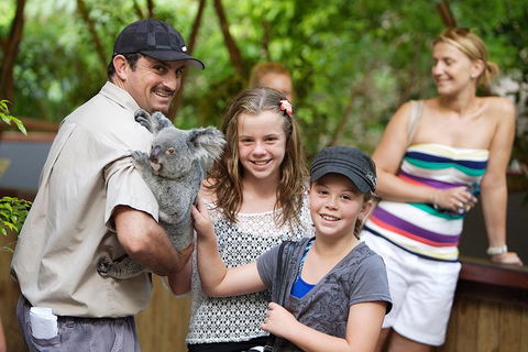 Hartley's Crocodile Adventure Half-Day Tour - Holiday Sunshine Coast 3