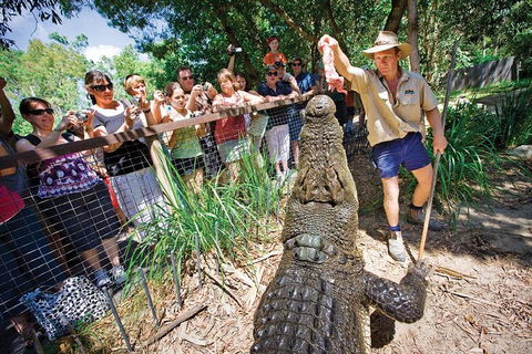 Hartley's Crocodile Adventure Half-Day Tour - Holiday Sunshine Coast 4