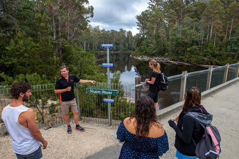 Tahune Airwalk Active Day Trip From Hobart Including Hastings Caves - Sunshine Coast Tourism 1