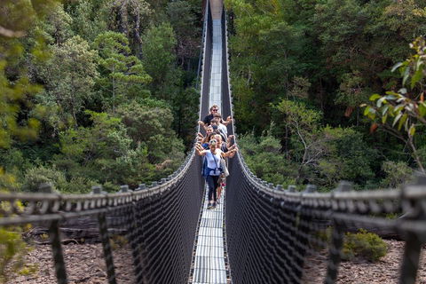Tahune Airwalk Active Day Trip From Hobart Including Hastings Caves - Sunshine Coast Tourism 3