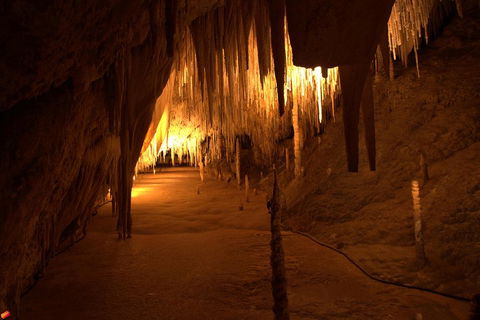 Tahune Airwalk Active Day Trip From Hobart Including Hastings Caves - Sunshine Coast Tourism 4