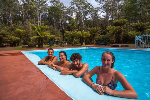 Tahune Airwalk Active Day Trip From Hobart Including Hastings Caves - Sunshine Coast Tourism 5