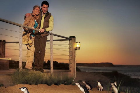 The Ultimate Melbourne Attractions Pass - Sunshine Coast Tourism 3